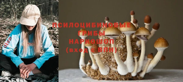 прущие крисы Вязники